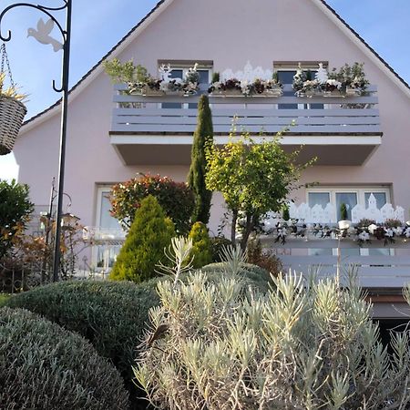Gite Riquewihr "C'Est Beau La Vie Alsace" Exteriör bild