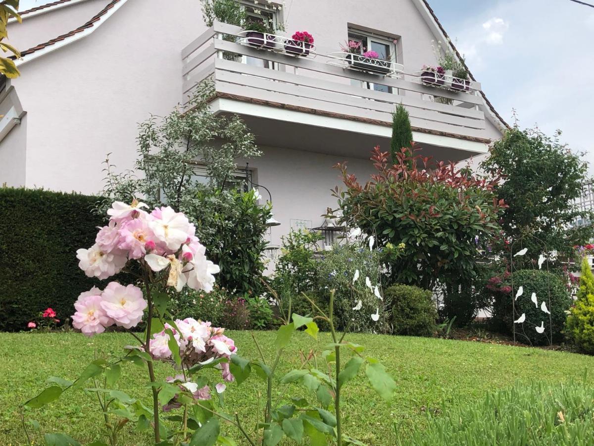 Gite Riquewihr "C'Est Beau La Vie Alsace" Exteriör bild