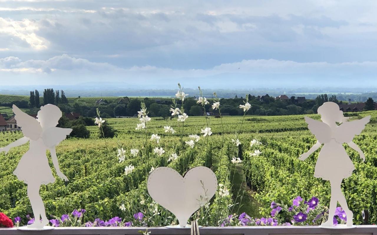 Gite Riquewihr "C'Est Beau La Vie Alsace" Exteriör bild