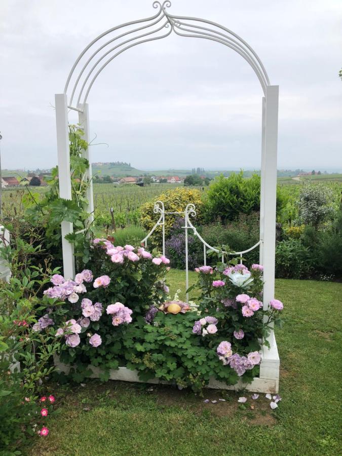 Gite Riquewihr "C'Est Beau La Vie Alsace" Exteriör bild
