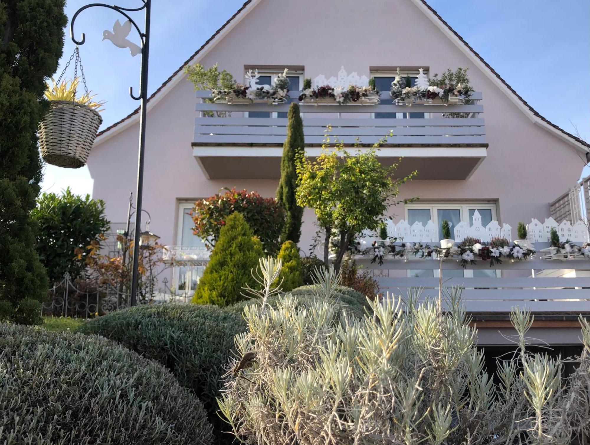 Gite Riquewihr "C'Est Beau La Vie Alsace" Exteriör bild